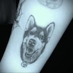 Фото Рисунка тату с собакой породы Хаски 08.03.2021 №223 - husky tattoo - tatufoto.com