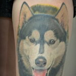 Фото Рисунка тату с собакой породы Хаски 08.03.2021 №235 - husky tattoo - tatufoto.com
