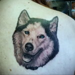 Фото Рисунка тату с собакой породы Хаски 08.03.2021 №237 - husky tattoo - tatufoto.com