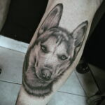Фото Рисунка тату с собакой породы Хаски 08.03.2021 №245 - husky tattoo - tatufoto.com