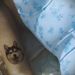 Фото Рисунка тату с собакой породы Хаски 08.03.2021 №251 - husky tattoo - tatufoto.com