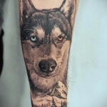 Фото Рисунка тату с собакой породы Хаски 08.03.2021 №259 - husky tattoo - tatufoto.com