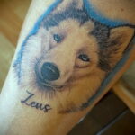 Фото тату хаски на руке. Цветной рисунок татуировки с подписью 'Zeus'.