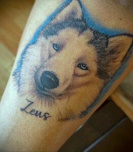 Фото тату хаски на руке. Цветной рисунок татуировки с подписью 'Zeus'.