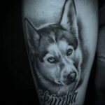 Фото Рисунка тату с собакой породы Хаски 08.03.2021 №269 - husky tattoo - tatufoto.com