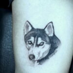 Фото Рисунка тату с собакой породы Хаски 08.03.2021 №286 - husky tattoo - tatufoto.com