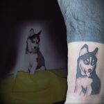 Фото Рисунка тату с собакой породы Хаски 08.03.2021 №289 - husky tattoo - tatufoto.com