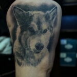 Фото Рисунка тату с собакой породы Хаски 08.03.2021 №304 - husky tattoo - tatufoto.com