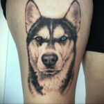 Фото Рисунка тату с собакой породы Хаски 08.03.2021 №306 - husky tattoo - tatufoto.com