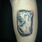 Фото Рисунка тату с собакой породы Хаски 08.03.2021 №313 - husky tattoo - tatufoto.com