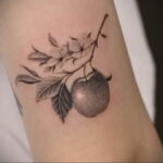 Фото пример рисунка татуировки с яблоком 03.03.2021 №002 - apple tattoo - tatufoto.com