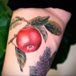 Фото пример рисунка татуировки с яблоком 03.03.2021 №003 - apple tattoo - tatufoto.com