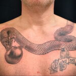 Фото пример рисунка татуировки с яблоком 03.03.2021 №032 - apple tattoo - tatufoto.com