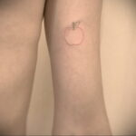 Фото пример рисунка татуировки с яблоком 03.03.2021 №033 - apple tattoo - tatufoto.com