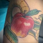 Фото пример рисунка татуировки с яблоком 03.03.2021 №036 - apple tattoo - tatufoto.com