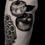 Фото пример рисунка татуировки с яблоком 03.03.2021 №053 - apple tattoo - tatufoto.com