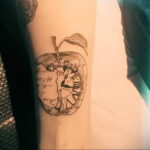 Фото пример рисунка татуировки с яблоком 03.03.2021 №062 - apple tattoo - tatufoto.com