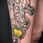 Фото пример рисунка татуировки с яблоком 03.03.2021 №066 - apple tattoo - tatufoto.com