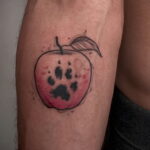 Фото пример рисунка татуировки с яблоком 03.03.2021 №087 - apple tattoo - tatufoto.com
