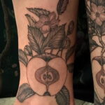 Фото пример рисунка татуировки с яблоком 03.03.2021 №103 - apple tattoo - tatufoto.com