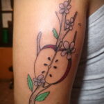 Фото пример рисунка татуировки с яблоком 03.03.2021 №109 - apple tattoo - tatufoto.com