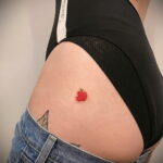 Фото пример рисунка татуировки с яблоком 03.03.2021 №111 - apple tattoo - tatufoto.com
