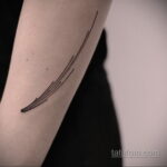 Фото татуировки с кометой (астероидом) 27.03.2021 №043 - comet tattoo - tatufoto.com