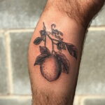 Фото татуировки с лаймом 31.03.2021 №062 - lime tattoo - tatufoto.com