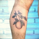 Фото татуировки с лаймом 31.03.2021 №063 - lime tattoo - tatufoto.com