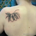Фото татуировки с лаймом 31.03.2021 №095 - lime tattoo - tatufoto.com