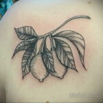 Фото татуировки с лаймом 31.03.2021 №096 - lime tattoo - tatufoto.com