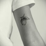 Фото татуировки с лаймом 31.03.2021 №156 - lime tattoo - tatufoto.com