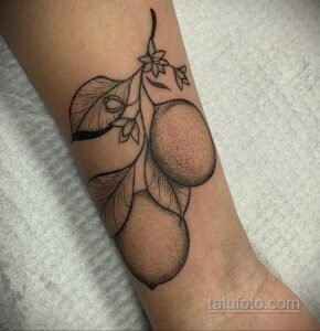 Фото татуировки с лаймом 31.03.2021 №182 - lime tattoo - tatufoto.com