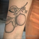 Фото татуировки с лаймом 31.03.2021 №183 - lime tattoo - tatufoto.com