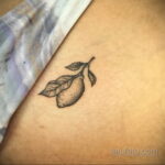 Фото татуировки с лаймом 31.03.2021 №196 - lime tattoo - tatufoto.com