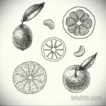 Фото татуировки с лаймом 31.03.2021 №204 - lime tattoo - tatufoto.com