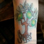 Фото татуировки с лаймом 31.03.2021 №229 - lime tattoo - tatufoto.com