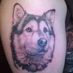 Фото татуировки с собакой породы Хаски 08.03.2021 №13113 - husky tattoo - tatufoto.com