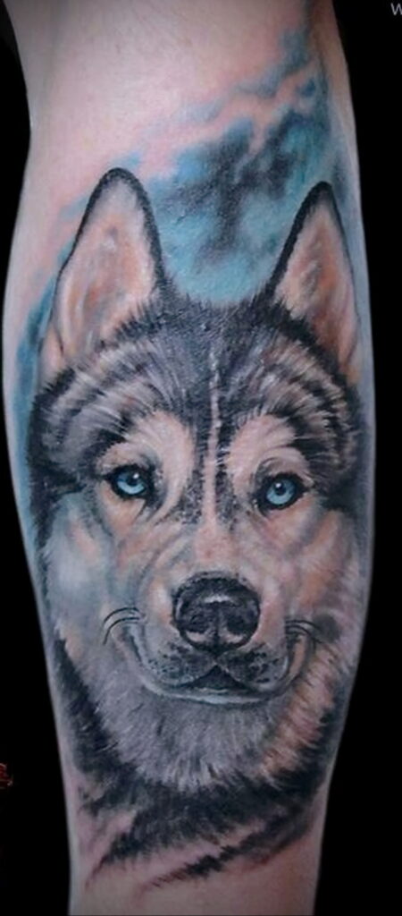 Фото татуировки с собакой породы Хаски 08.03.2021 №15115 - husky tattoo - tatufoto.com