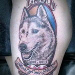 Фото татуировки с собакой породы Хаски 08.03.2021 №58158 - husky tattoo - tatufoto.com