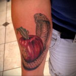 Фото татуировки с яблоком 03.03.2021 №003 - apple tattoo - tatufoto.com