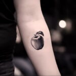 Фото татуировки с яблоком 03.03.2021 №028 - apple tattoo - tatufoto.com