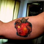 Фото татуировки с яблоком 03.03.2021 №118 - apple tattoo - tatufoto.com