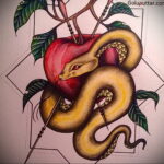 Фото татуировки с яблоком 03.03.2021 №185 - apple tattoo - tatufoto.com
