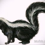 Фото татуировки со скунсом 28.03.2021 №003 - Skunk tattoo - tatufoto.com