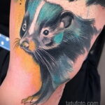 Фото татуировки со скунсом 28.03.2021 №033 - Skunk tattoo - tatufoto.com