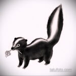Фото татуировки со скунсом 28.03.2021 №096 - Skunk tattoo - tatufoto.com