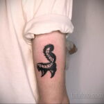 Фото татуировки со скунсом 28.03.2021 №102 - Skunk tattoo - tatufoto.com