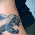 Фото татуировки со скунсом 28.03.2021 №108 - Skunk tattoo - tatufoto.com