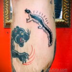 Фото татуировки со скунсом 28.03.2021 №220 - Skunk tattoo - tatufoto.com